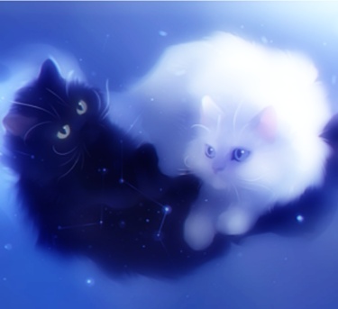 Cover of The Tale of the White Cat